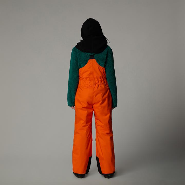 Image du produit North Face Teen Freedom Insulated Bib (L)