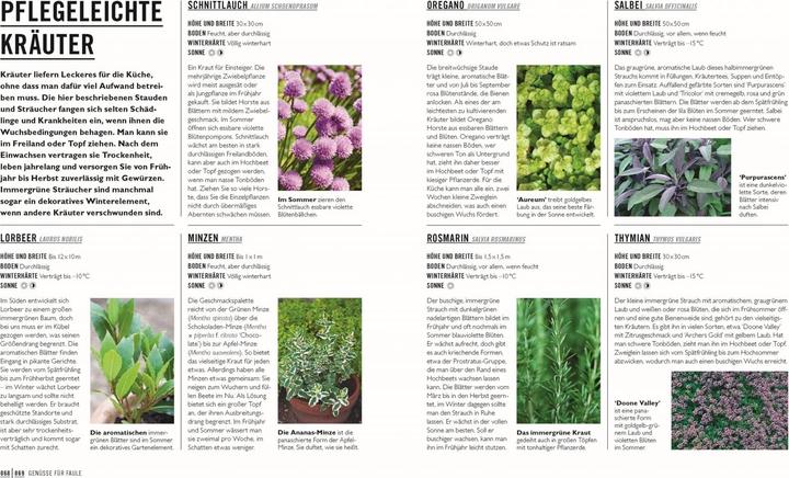 Produktbild Grünes Gartenwissen. Gärtnern mit wenig Aufwand (Deutsch, Zia Allaway, DK Verlag, Reinhard Ferstl, 2024)