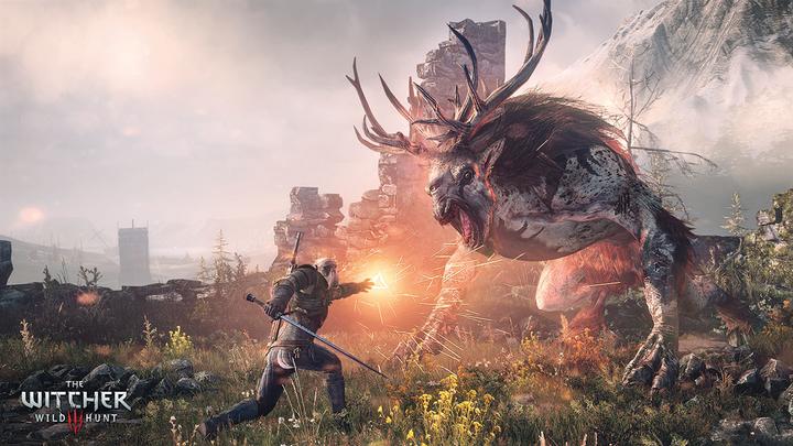 Actual product image WB Microsoft The Witcher 3: Wild Hunt Game of the Year Edition, Xbox One (Xbox One S)