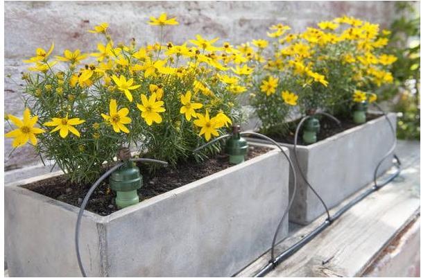 Immagine prodotto Blumat Set di tubi a goccia 10m (Set per l'irrigazione a goccia)