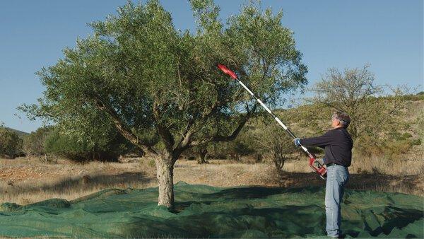 Actual product image Einhell 3411400 GE-FS 18/53 Li-Solo fruit picker