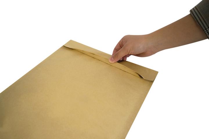 Immagine prodotto Elco Borsa di carta imbottita (95 x)