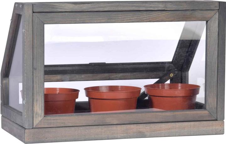 Image du produit Dobar Mini-serre avec pots