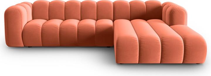 Corail