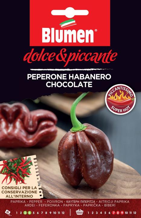 Produktbild Blumen Paprika Habanero Chocolate (Gemüsesamen)