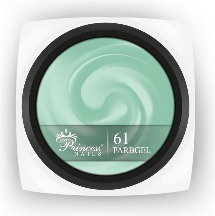 PrincessNails Farbgel 61