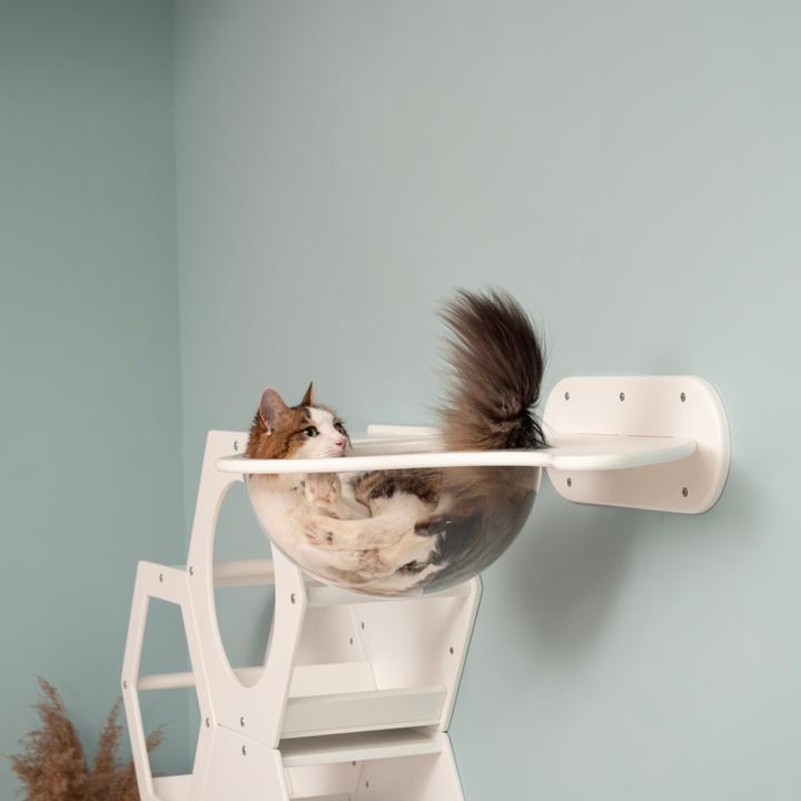 Immagine prodotto Wowhelperco Parete da arrampicata per gatti 8 pezzi (Bianco)