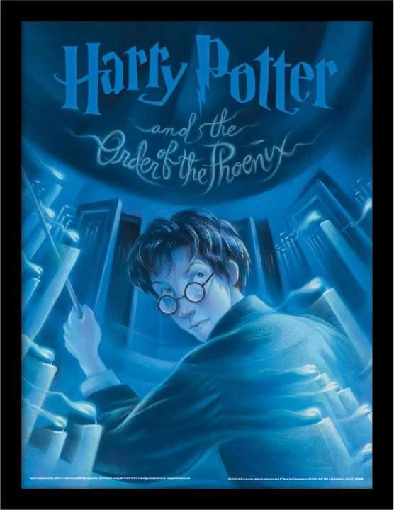 Produktbild Harry Potter bedruckt Buchumschlag (40 x 30 cm)