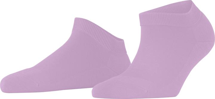 Conchiglia Rosa