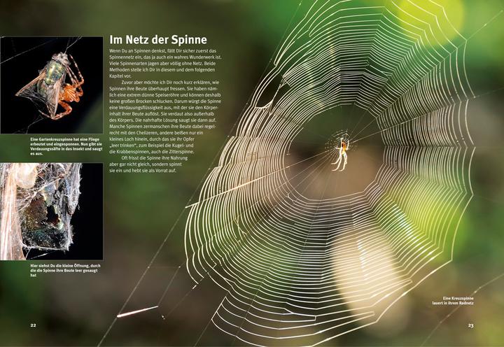 Immagine prodotto Entdecke die Spinnen (Tedesco, Criterio Kunz, 2018)