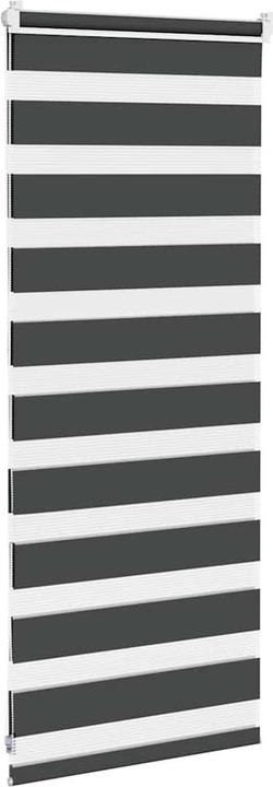 Image du produit VidaXL Verine (65 x 100 cm)
