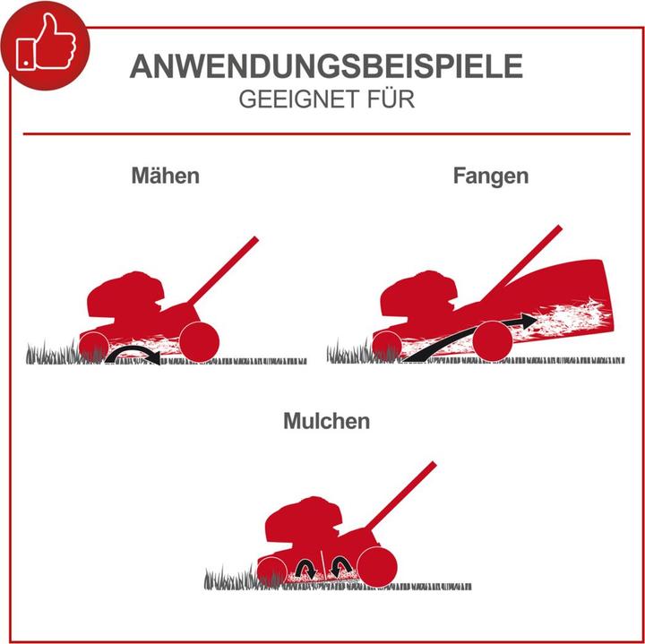 Actual product image Scheppach MS161-46 (Petrol)