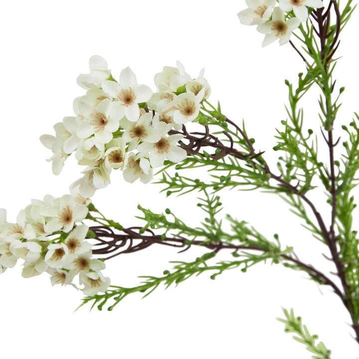 Image du produit Hill Interiors The Natural Garden Collection Fleur de cire Artificielle (80 cm)