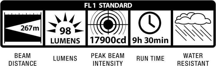 Image du produit Maglite 4 D-Cell (37.50 cm, 72 lm)