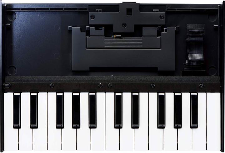 Immagine prodotto Roland K-25m