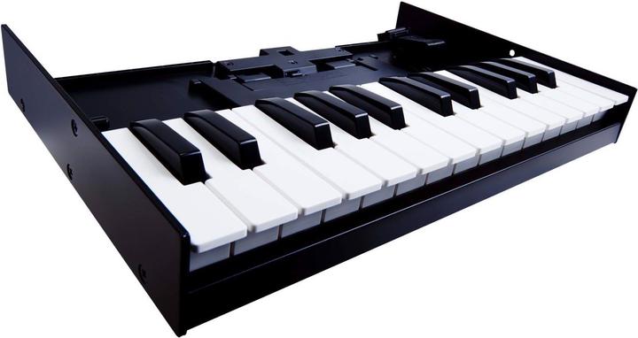 Immagine prodotto Roland K-25m