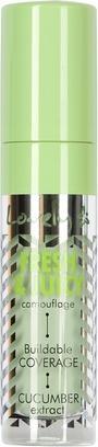 Lovely Fresh & Juicy Camouflage Face Concealer 3 4.5G