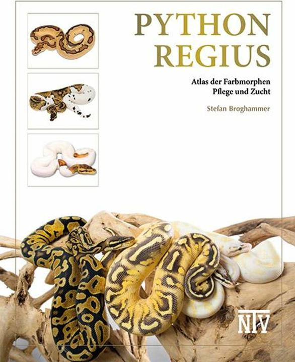 Immagine prodotto pitone regius (Tedesco, Stefan Broghammer, 2025)