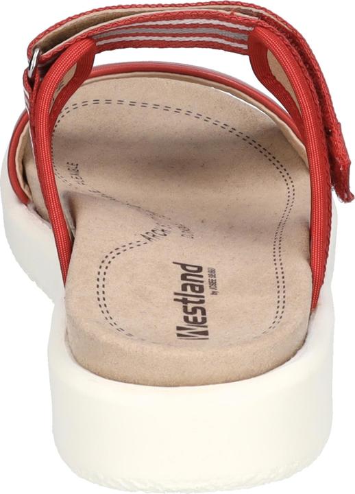 Actual product image Westland 25404-410 (38)