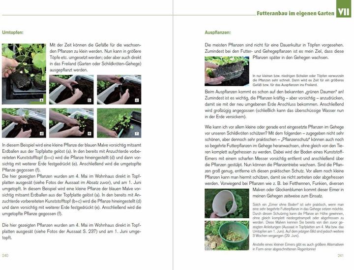 Produktbild Der Schildkröten-Gärtner - Naturnahe Ernährung Europäischer Landschildkröten (Deutsch, Thorsten Geier, 2016)
