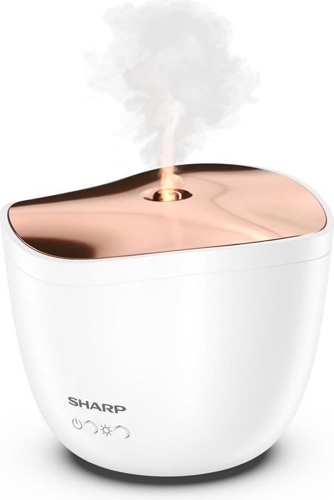 Produktbild Sharp DF-A1E-W