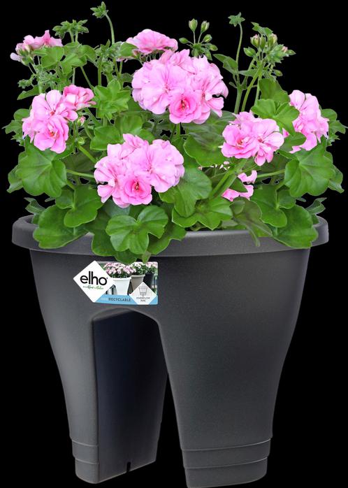 Produktbild Elho Corsica (30 cm)
