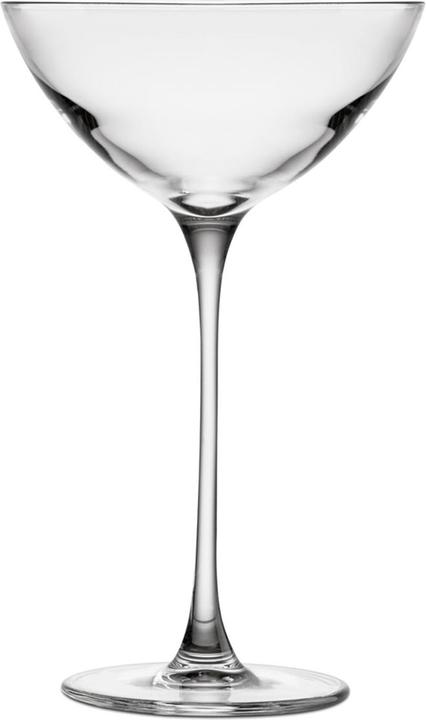 Image du produit Nude Glass Savage (1.70 dl, 2 x, Verres à Martini)