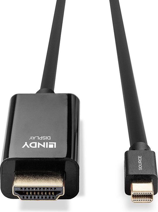 Immagine prodotto Lindy Mini DisplayPort (2 m, DisplayPort, HDMI)