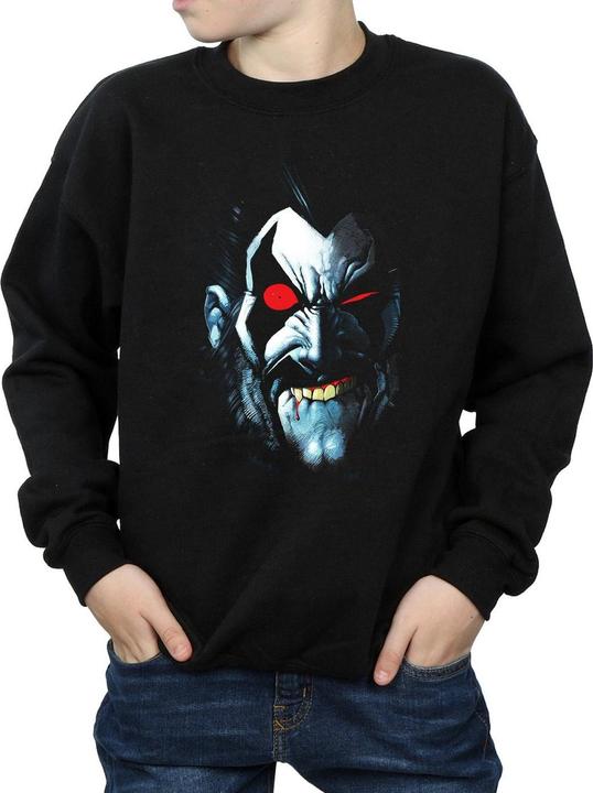 Actual product image Boys Lobo Portrait Sweatshirt (140, 146)