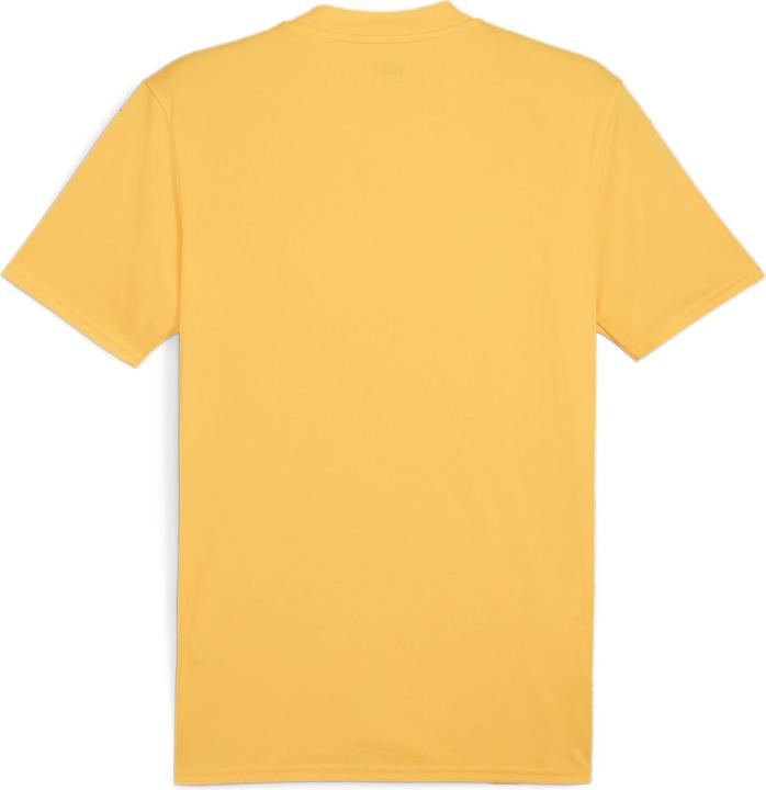 Image du produit Puma teamGLORY Jersey (L)