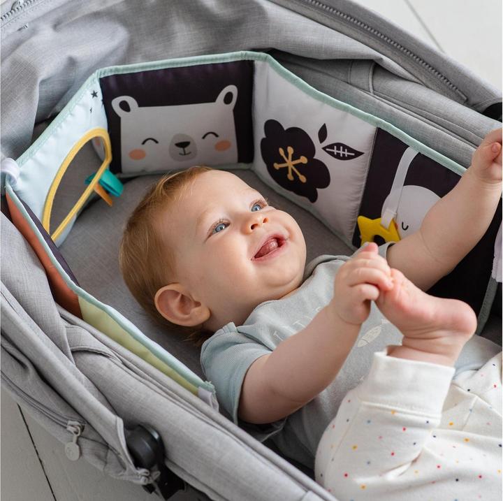 Actual product image Taf Toys North Pole