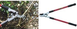 Actual product image C.K Magma Telescopic lopping shears Anvil G501