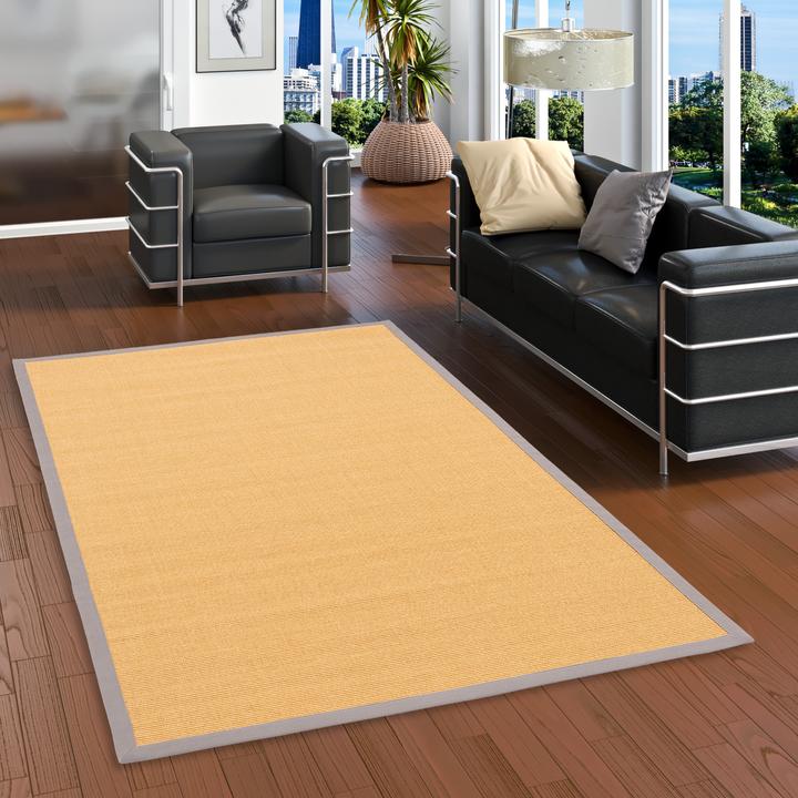 Immagine prodotto Pergamon Tappeto Sisal Natura Classic con bordo (200 x 290 cm)