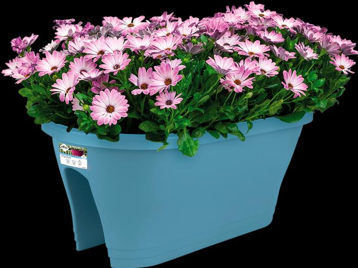 Produktbild Elho corsica flower bridge Outdoor Topfpflanzer Polypropylen (PP) (57.30 cm)