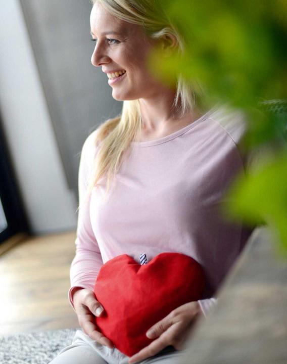 Actual product image Sissel Cherry cherry pit pillow