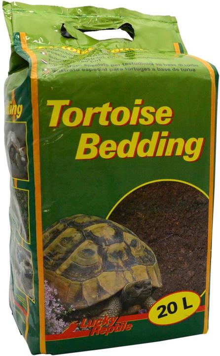 Terrariumeinrichtung