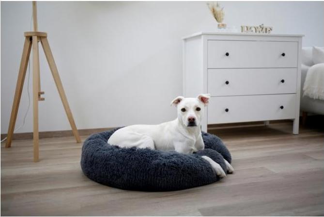 Image du produit Kerbl Fluffy (Chien)