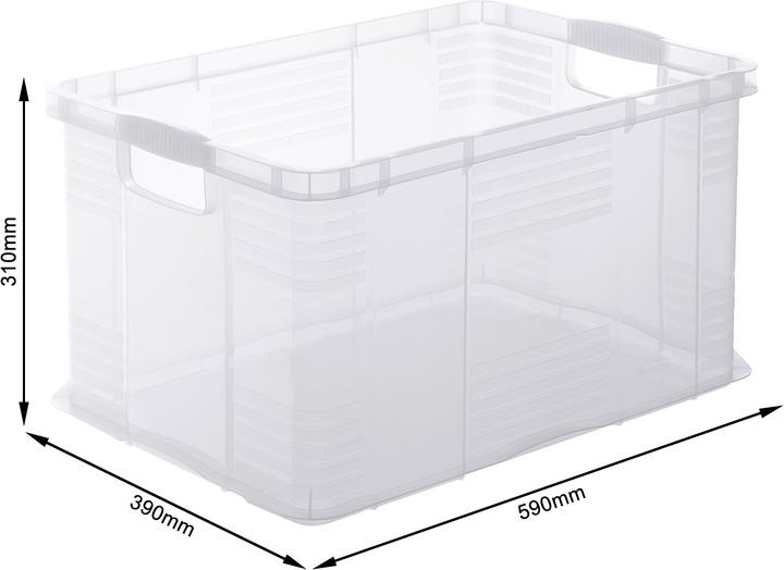 Actual product image Rotho Agilo (31 x 40 x 60 cm, 55 l)