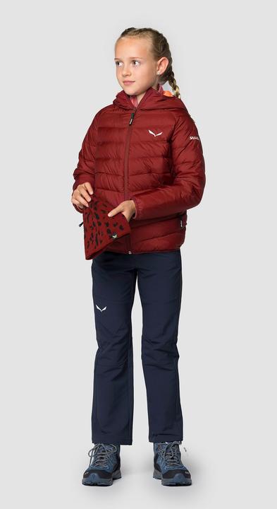 Actual product image Salewa Puez Dst K Pants (104)