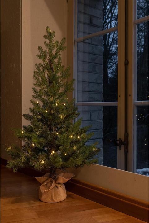 Immagine prodotto STT Albero nordico