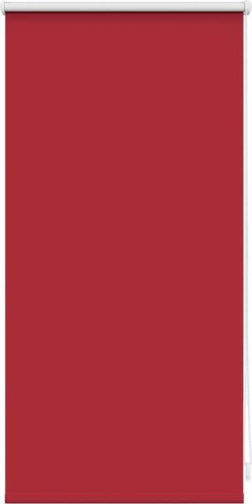 Image du produit VidaXL Rollo (40 x 100 cm)