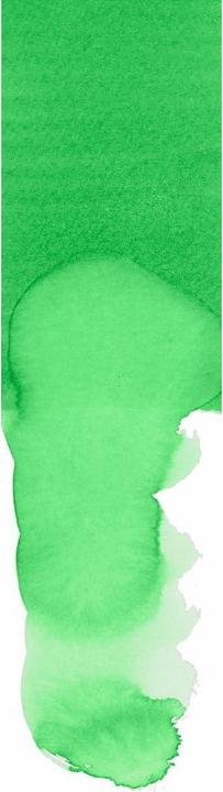 Immagine prodotto Faber-Castell Dual Marker Goldfaber Aqua (Verde foglia, 1 x)