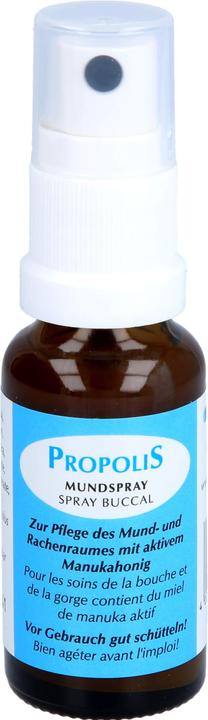 Produktbild Remmele Mundspray mit aktiven Manukahonig (20 ml, Mundspray)