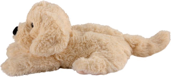 Actual product image Warmies Golden Retriever (33 cm)