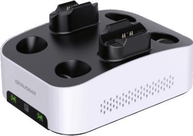 Actual product image Graugear Gaming hard drive enclosure. USB-C w. Dual charging station PS5 (PS5)