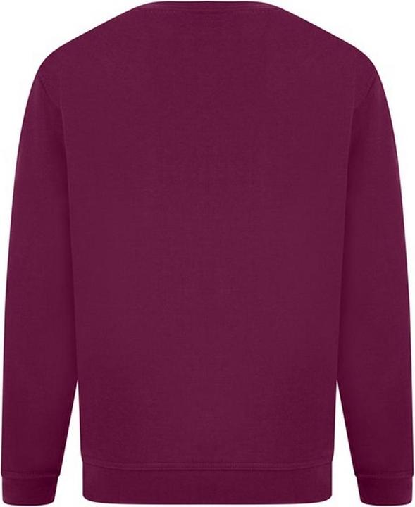 Produktbild Absolute Apparel Sterling Pullover (3XL)