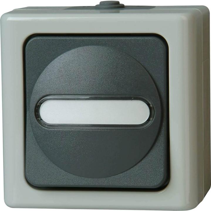 Produktbild Kopp Blue Electric Aufputz Feuchtraum Taster Schliesser