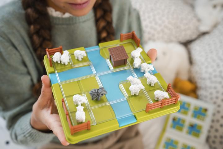 Actual product image Smart Games Spiel Schafe Zählen