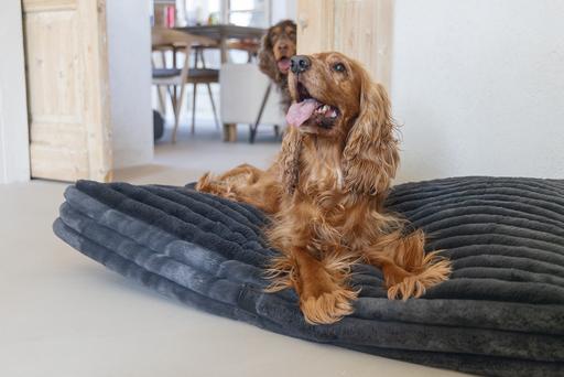 Produktbild Designed by Lotte Liegekissen Reza (Hund)