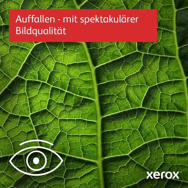 Actual product image Xerox B305V DNI multifunction printer (Laser, Black and white)